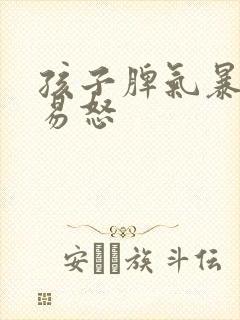 孩子脾气暴躁的易怒