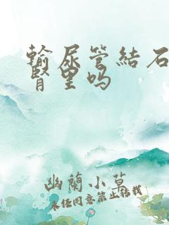 输尿管结石能到肾里吗