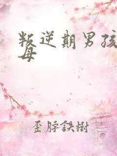 叛逆期男孩打父母