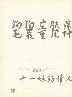 狗狗皮肤痒还掉毛严重用什么药