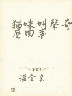 猫咪叫声奇怪怎么回事