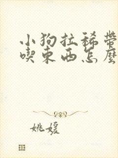 小狗拉稀带血不吃东西怎么办