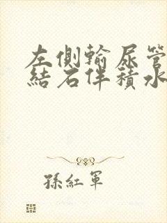 左侧输尿管下段结石伴积水