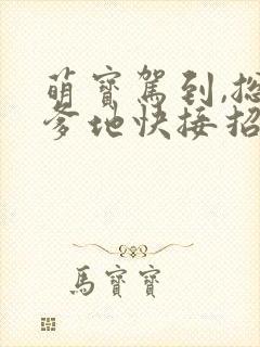 萌宝驾到,总裁爹地快接招