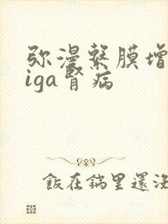 弥漫系膜增生性iga肾病