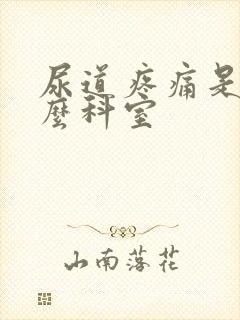 尿道疼痛是挂什么科室