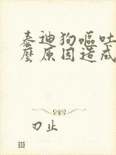 泰迪狗呕吐是什么原因造成的