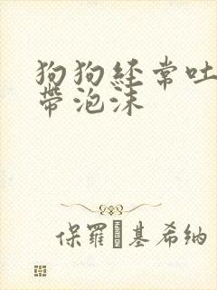 狗狗经常吐黄水带泡沫