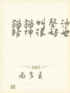 猫猫叫声沙哑但精神很好也能吃喝