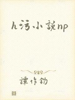 h污小说np