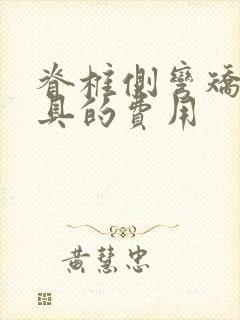 脊椎侧弯矫正支具的费用