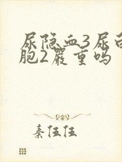 尿隐血3尿白细胞2严重吗