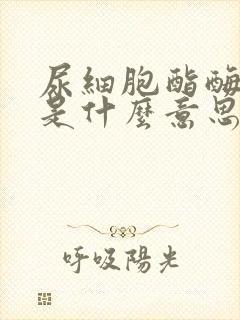 尿细胞酯酶阳性是什么意思