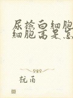 尿检白细胞和红细胞高是怎么回事