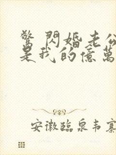 惊 闪婚老公竟是我的亿万总裁