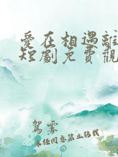 爱在相遇离婚时短剧免费观看