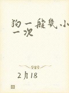 狗一般几小时尿一次