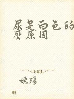 尿是白色的是什么原因