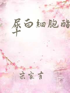 尿白细胞酯酶2十