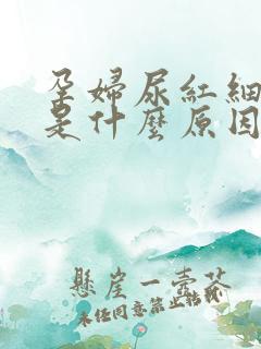 孕妇尿红细胞高是什么原因