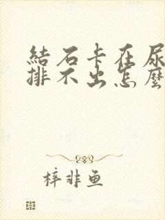 结石卡在尿道口排不出怎么办