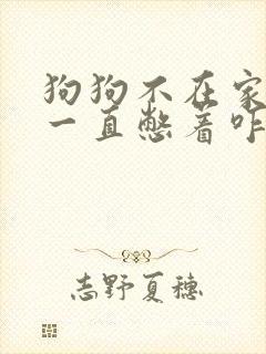 狗狗不在家拉尿一直憋着咋办