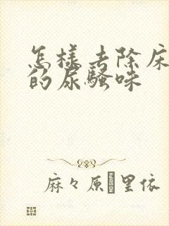 怎样去除床垫上的尿骚味