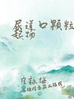 尿道口颗粒状突起物