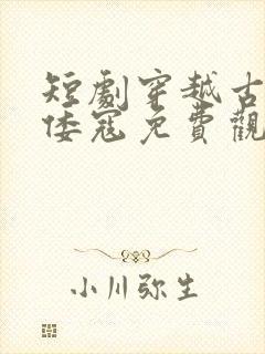 短剧穿越古代干倭寇免费观看