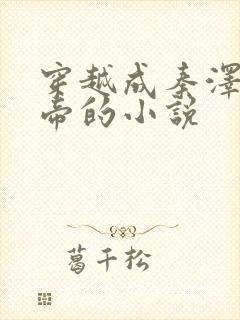 穿越成秦泽及女帝的小说