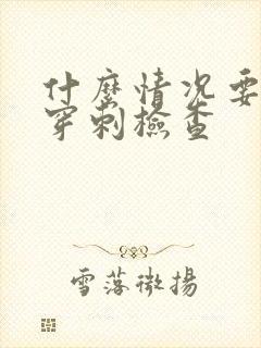 什么情况要做肾穿刺检查