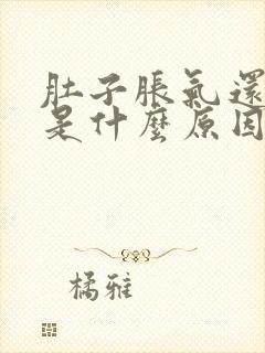 肚子胀气还放屁是什么原因