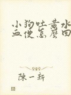 小狗吐黄水还拉血便怎么回事