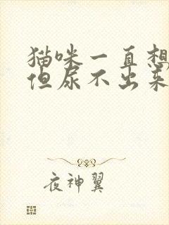 猫咪一直想尿,但尿不出来怎么办