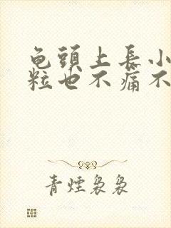 龟头上长小肉颗粒也不痛不痒