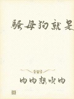 骚母狗就是欠操