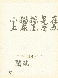 小猫总是在沙发上尿怎么办