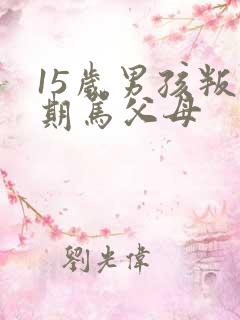 15岁男孩叛逆期骂父母