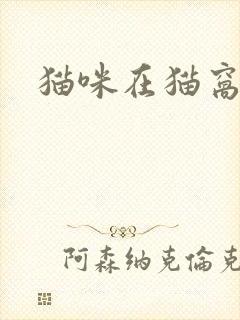 猫咪在猫窝里尿