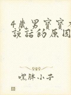 4岁男宝宝不会说话的原因