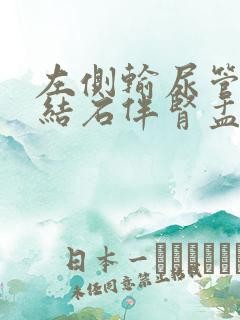 左侧输尿管下段结石伴肾盂积水