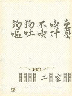 狗狗不吃东西还呕吐吃什么药好