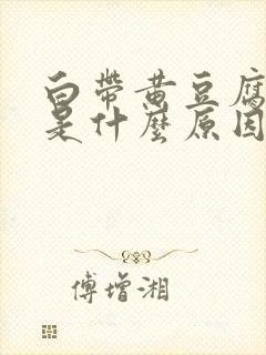 白带黄豆腐渣状是什么原因