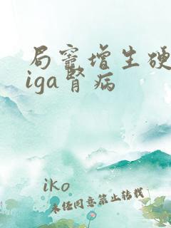 局灶增生硬化型iga肾病