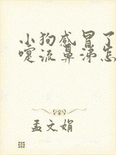 小狗感冒了打喷嚏流鼻涕怎么办