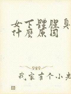 女下体腥臭味是什么原因