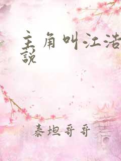 主角叫江浩的小说