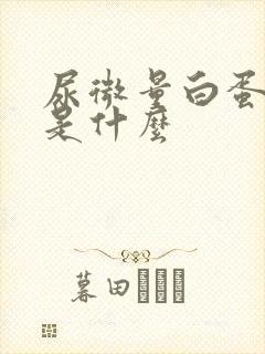 尿微量白蛋白高是什么