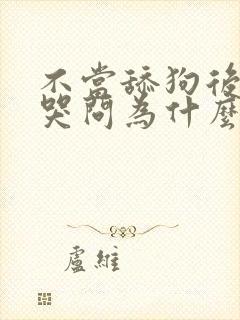 不当舔狗后校花哭问为什么小说