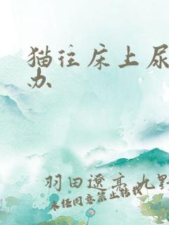 猫往床上尿怎么办